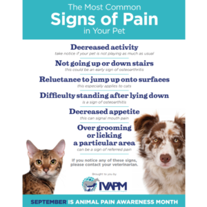 Signs of pain in animals